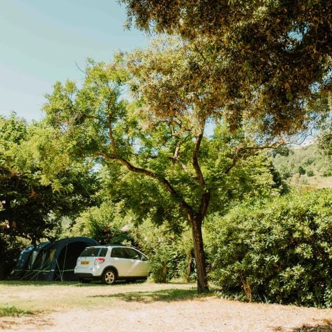 Routes du Monde - Camping Val Fleuri - Camping Alpes-Maritimes - Image N°5