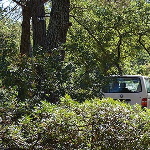 EMPLACEMENT - D (avec électricité 10 Amp)