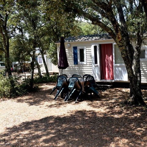 Mobile home 4 persons - Air-conditioned comfort - 2 bedrooms - 3 x 8m / Palm and Olive tree