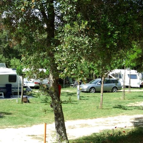 Kampeerplaats - Auto Caravan / Camper of Tent 2 Personen inbegrepen + elektriciteit 10 A
