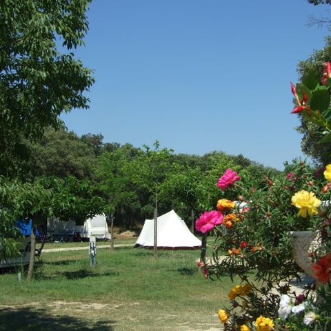PIAZZOLA - PACCHETTO SITO (Caravan / Camper o Tenda) + 2 persone incluse SENZA elettricità