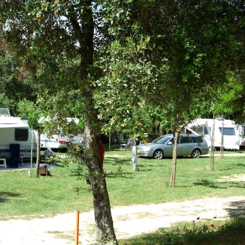 STAANPLAATS - PAKKET SITE (Auto Caravan / Camper of Tent) + 2 personen inbegrepen ZONDER elektriciteit