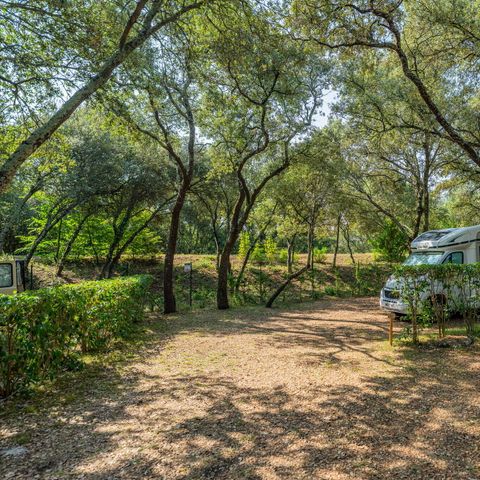 PLOT - Pitch | Cosy | Tent | Vehicle -7m | 100m² - 120m² | Electricity | Water