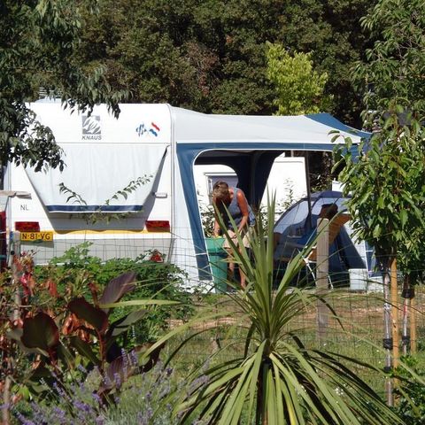 Kampeerplaats - Comfortpakket (1 tent of caravan of camper / 1 auto / 16A elektriciteit)