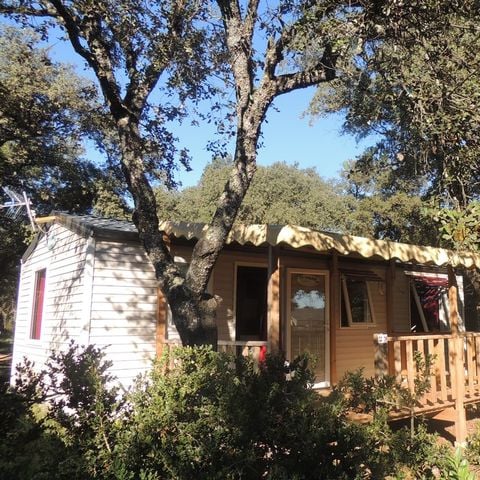 Mobile home 6 persons - Family plus - 3 bedrooms