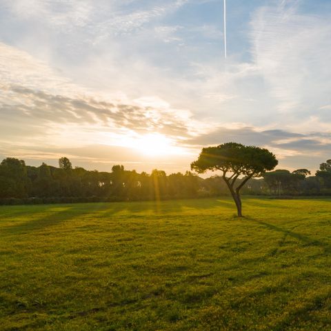 Camping Roma Capitol Camping Roma Capitol - Camping Rome - Image N°44