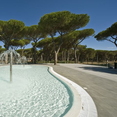 Camping Roma Capitol Camping Roma Capitol - Camping Rome - Image N°4