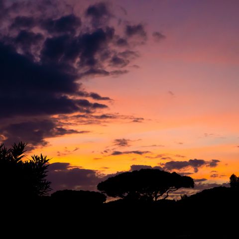 Camping Roma Capitol Camping Roma Capitol - Camping Rome - Image N°48