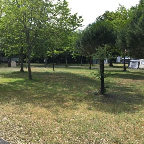 Stellplatz - Nackter Stellplatz für Zelte und kleine Vans