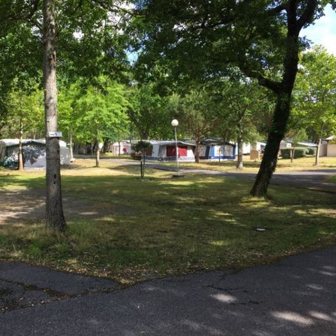 STAANPLAATS - Kale staanplaatsen voor tenten en kleine bestelwagens