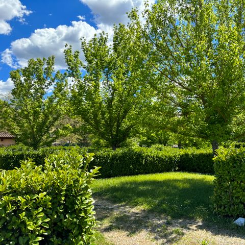 PLOT - Pitches for tents, caravans or motorhomes