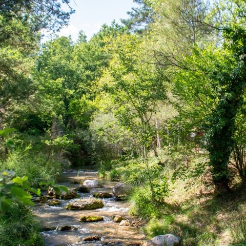 PARCELA - Tienda, caravana o autocaravana + vehículo