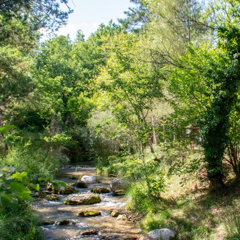 PLOT - Tent, caravan or motor home pitch + vehicle