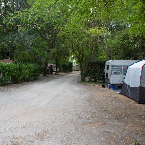 STAANPLAATS - Comfortpakket (1 tent, caravan of camper / 1 auto / elektriciteit 8A) 80m² / 120m².