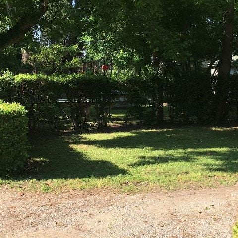 STAANPLAATS - Natuur arrangement (1 tent, caravan of camper / 1 auto)