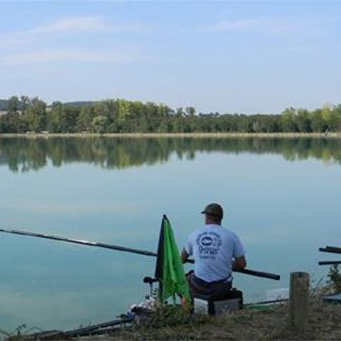 PARCELA - Ubicación Presa del carpintero