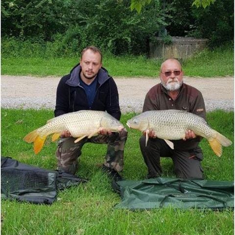 PARCELA - Ubicación Presa del carpintero