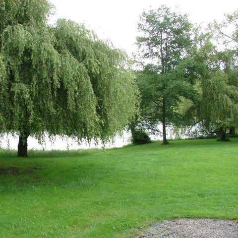 CHALET 5 people - CLUB 89