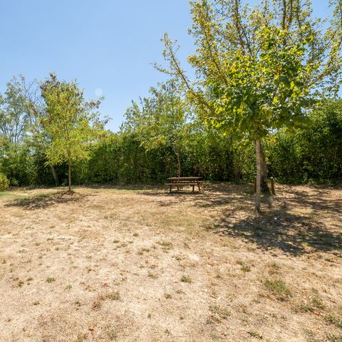 Kampeerplaats - Privilege standplaats - 100m² pakket