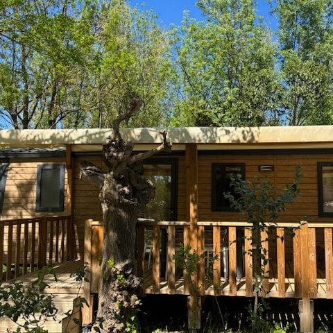 TENTE TOILE ET BOIS 6 personnes - Lodge Safari