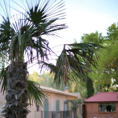 TENTE TOILE ET BOIS 4 personnes - Lodge Safari 27 m²