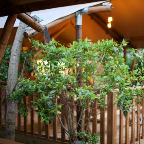 Canvas and wooden tent 4 persons - Lodge Safari 27 m²