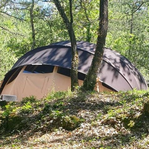 UNIEKE ACCOMMODATIE 4 personen - Indian Bubble