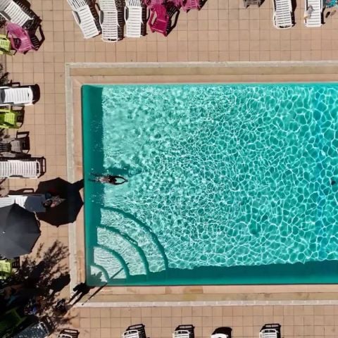 Flower Camping l'Epi Bleu - Camping Alpes-de-Haute-Provence - Image N°3