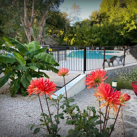 Camping la Salendrinque - Camping Gard - Image N°3