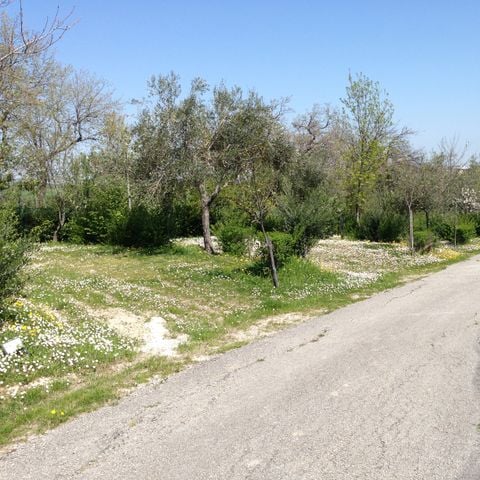 Kampeerplaats - Locatie Tenda