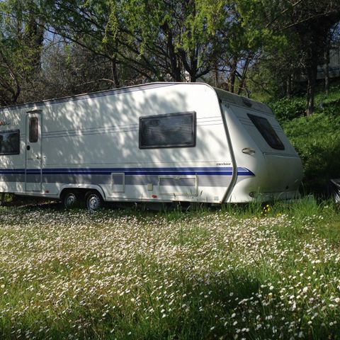 Stellplatz - Wohnwagen