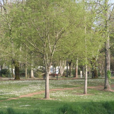 Kampeerplaats - Kampeerplaats
