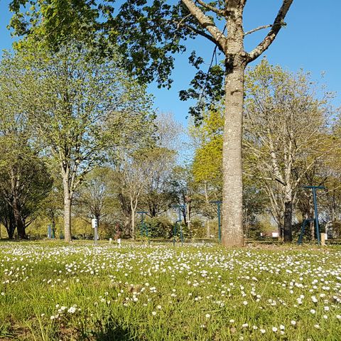 Kampeerplaats - Kampeerplaats