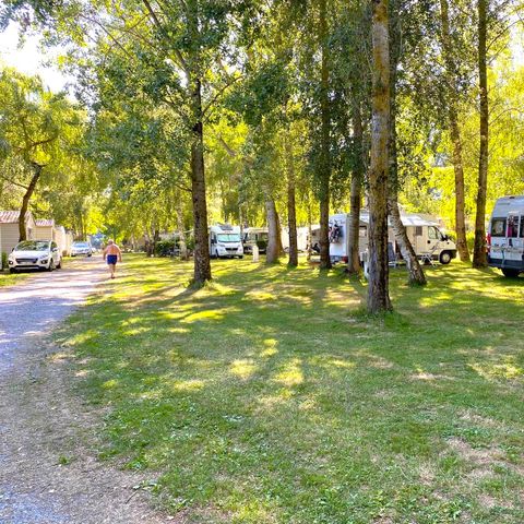 Kampeerplaats - Celia - Comfort standplaats - 80m² Pakket