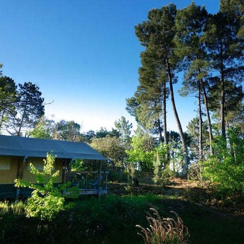 Safarizelt 5 Personen - Abenteurer (ohne eigenes Bad)