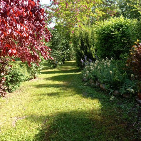 PARCELA - Tienda, Caravana