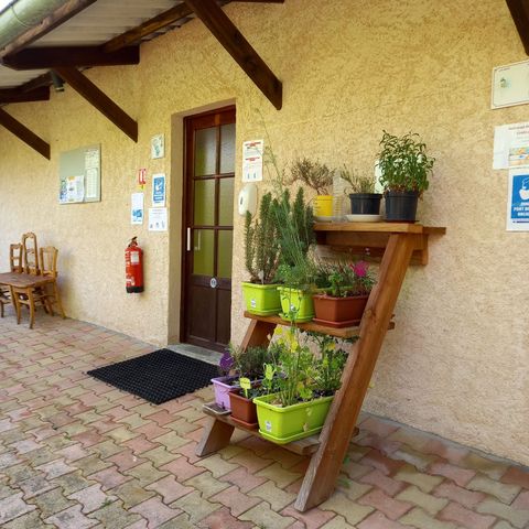 PARCELA - Tienda, Caravana