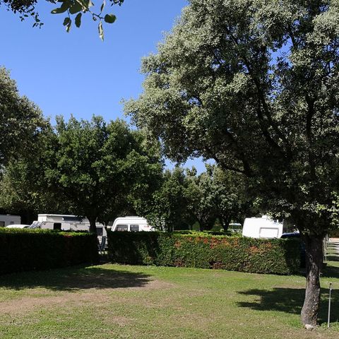 EMPLACEMENT - 100m²