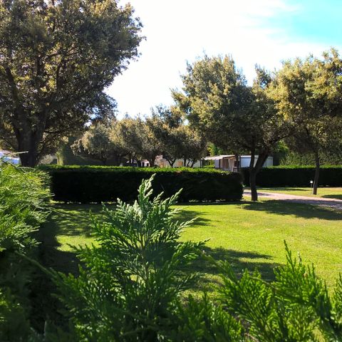 PARCELA - Parcela de acampada de 100 m²