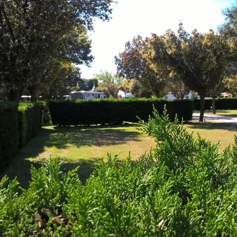 Pitch - 100m² camping pitch