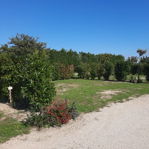 Kampeerplaats - 100m² kampeerplaats