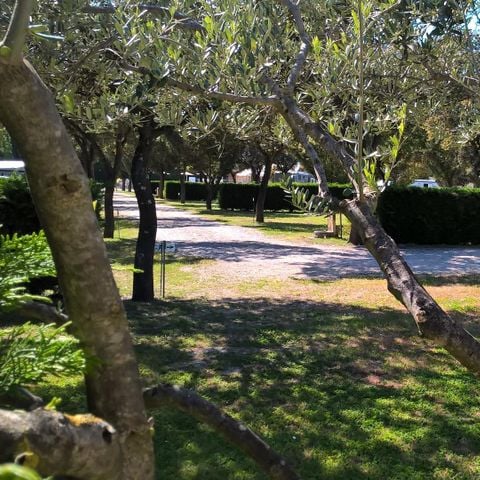 EMPLACEMENT - 200m²