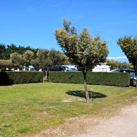Kampeerplaats - 200m²