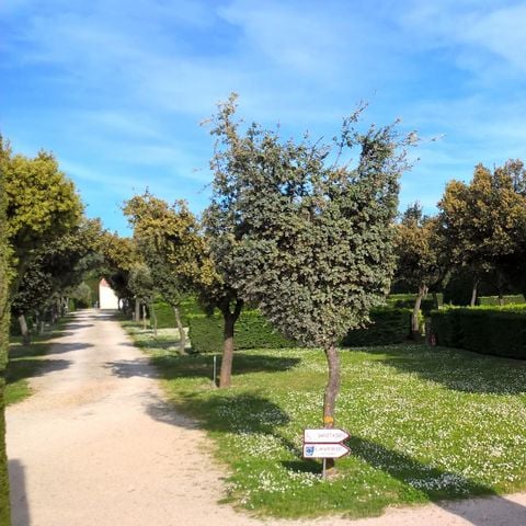 Kampeerplaats - 200m²