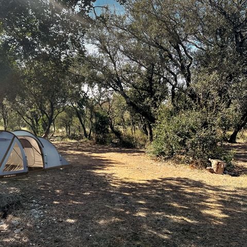 Kampeerplaats - Standplaats + 1 auto + tent, caravan of camper