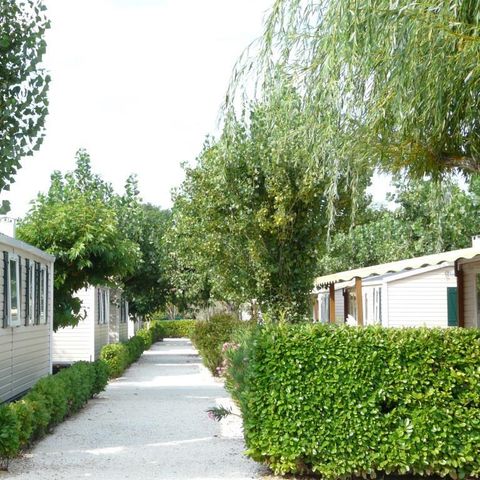 Mobilheim 4 personen - MH2 PARADIS 30 m², mit Sanitäranlagen