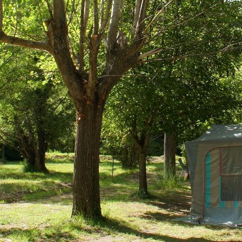 EMPLACEMENT - Emplacement : voiture + tente + 1 remorque / caravane ou camping-car