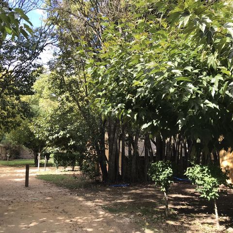 Pitch - Pitch + 1 car + tent or caravan or motor home + 10A electricity