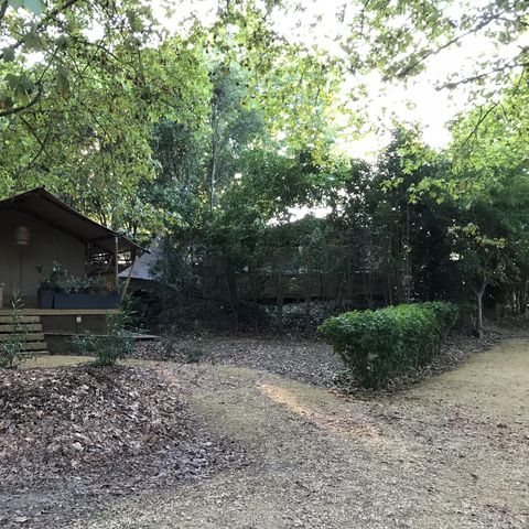 Lodge 6 persons - Zen Lodge 34m² - 3 bedrooms - spa - kitchen - shower room
