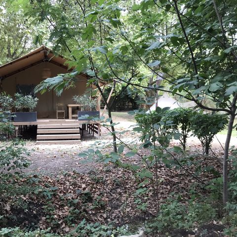 Lodge 6 persons - Lodge Chèvrefeuille 34m² - 3 bedrooms - kitchen - shower room